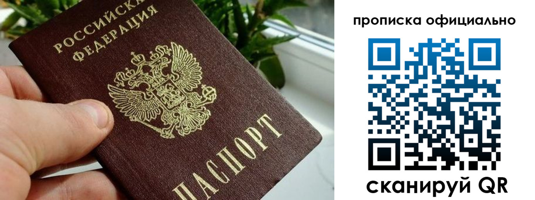 прописка поиск в Большом Камне